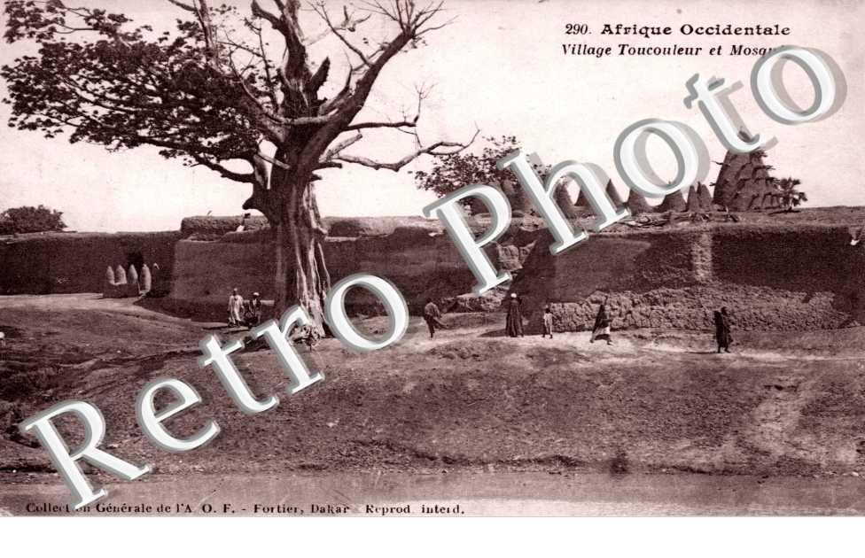 Village Toucouleur et Mosquee