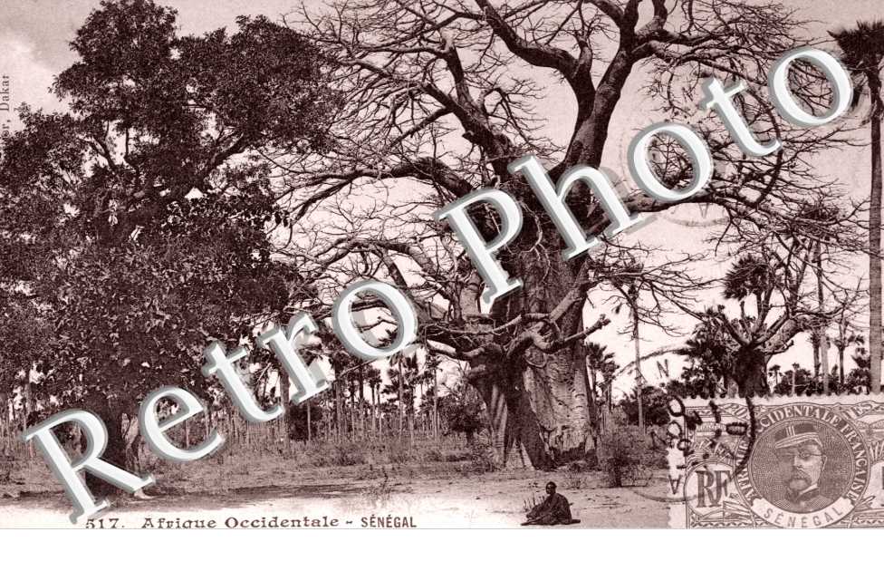Foret entre Pire et Meckhe