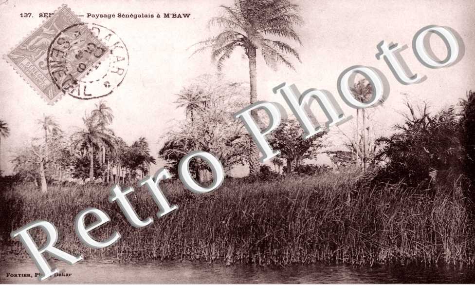 Paysage Senegalais a M'Baw