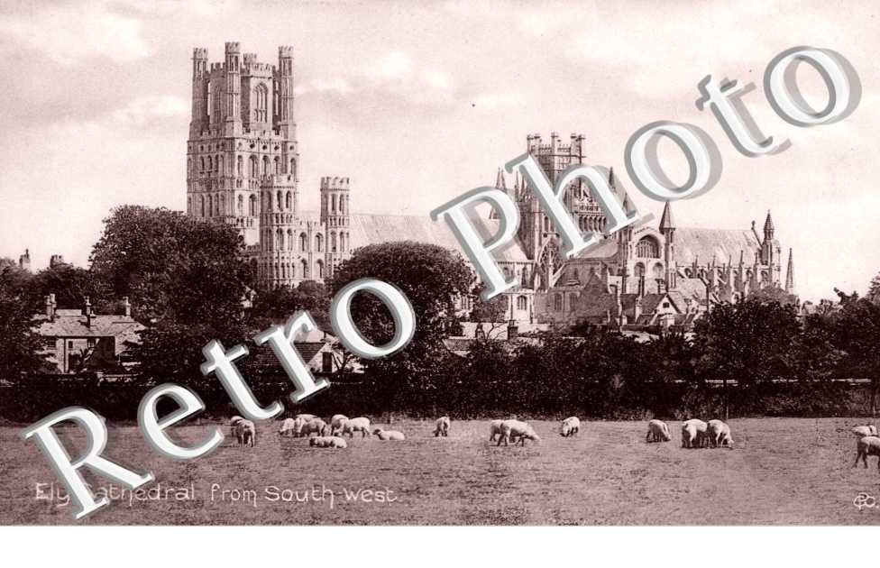 Ely Cathedral from South West