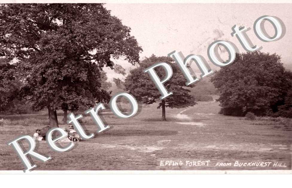 Epping Forest from Buckhurst Hill
