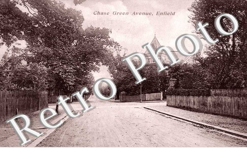Chase Green Avenue
