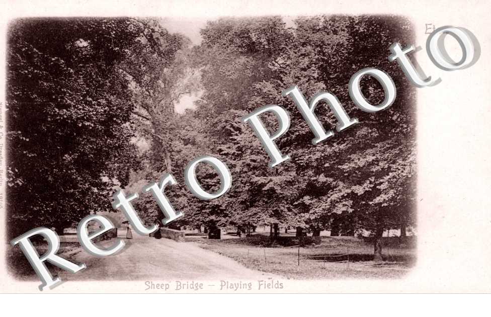 Sheep Bridge, Playing fields