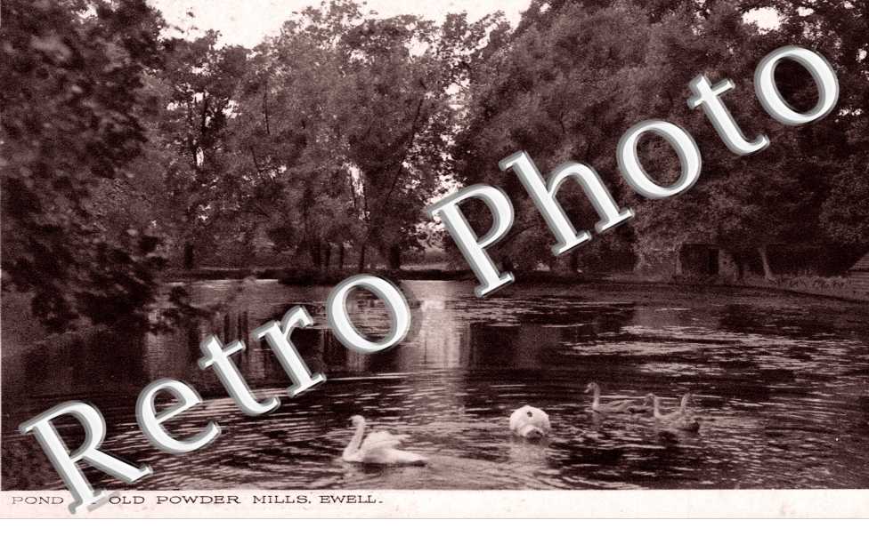 Pond at old Power Mills