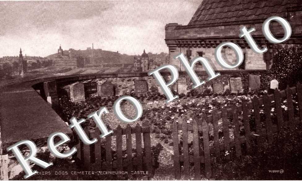 Soldiers' dogs Cemetery