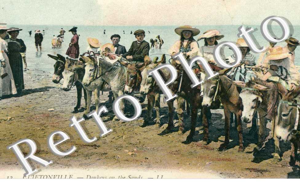 Donkeys on the Sands