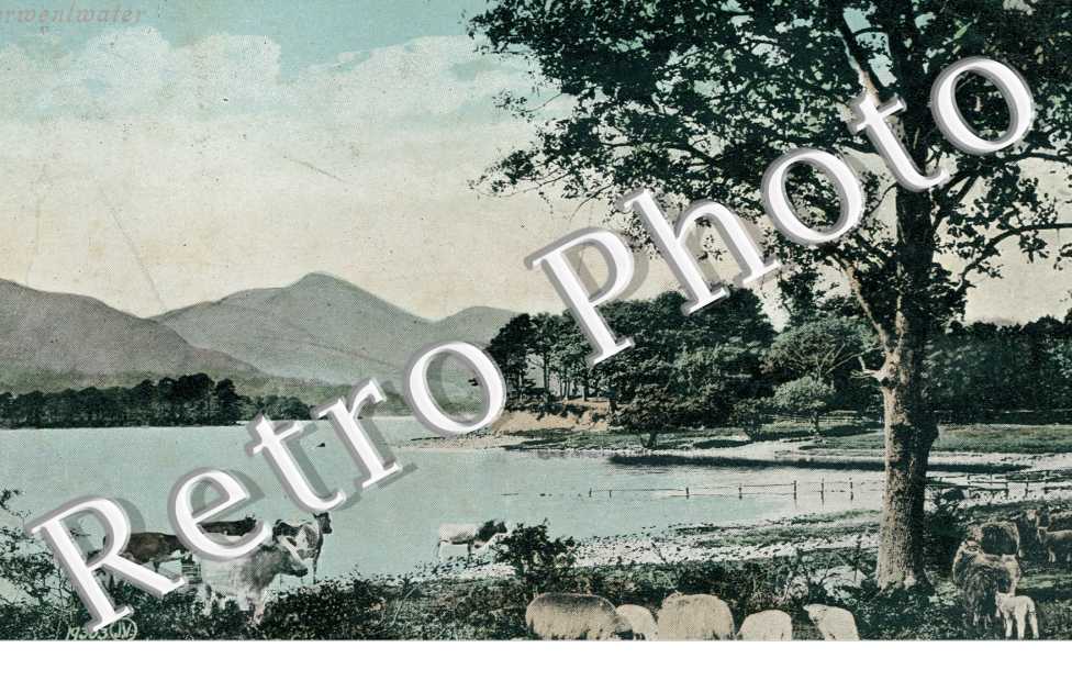 Vue Panoramique et les animaux de la ferme le long du rivage