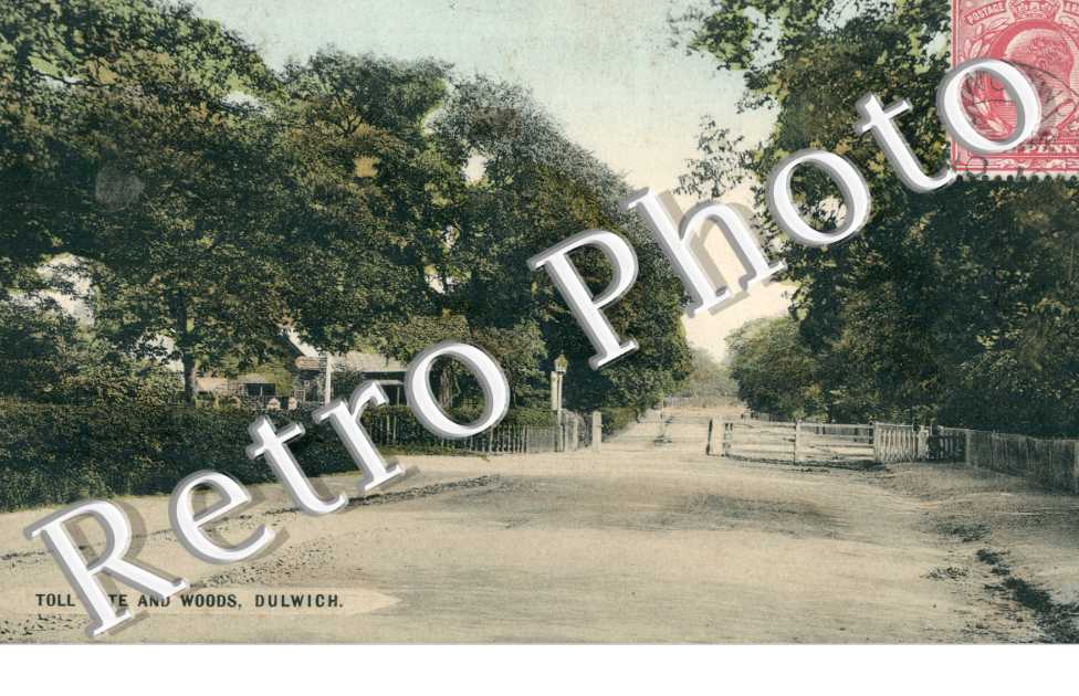 Toll Gate and woods
