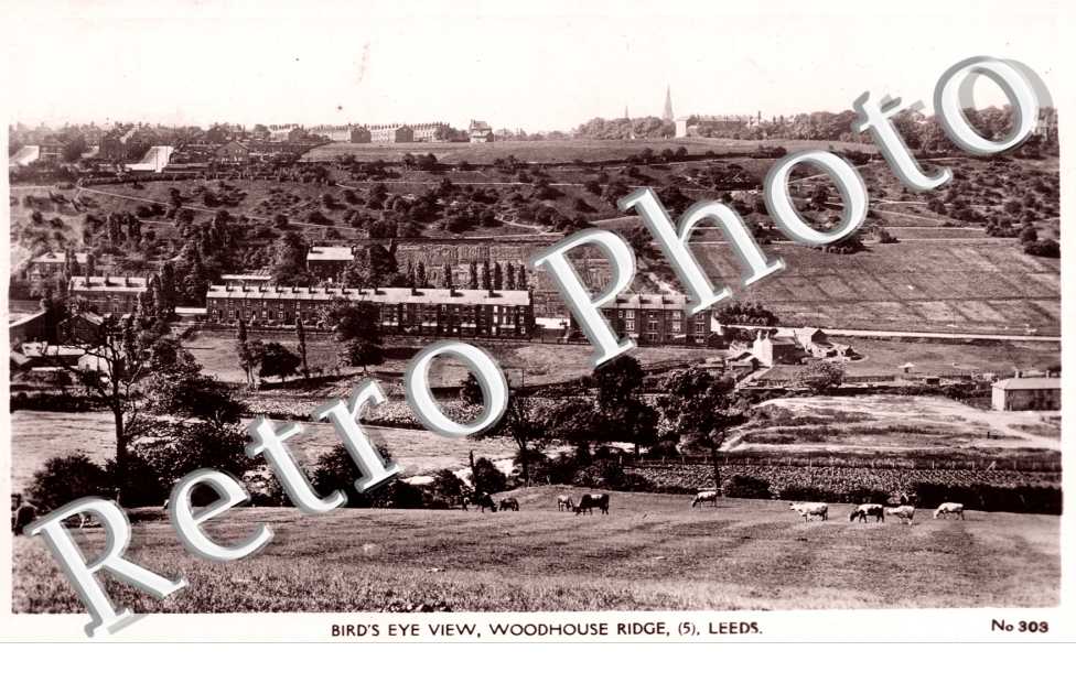 Bird's eye view, Woodhouse Ridge