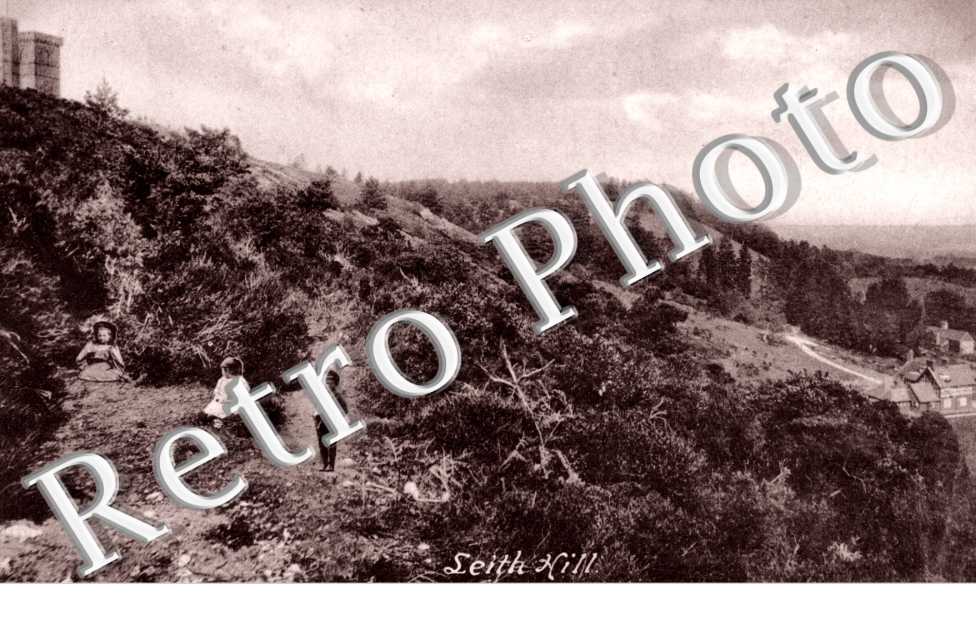 Leith Hill