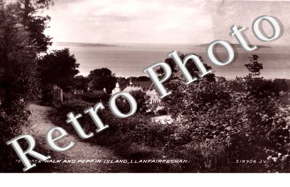 Terrace Walk and Puffin Island