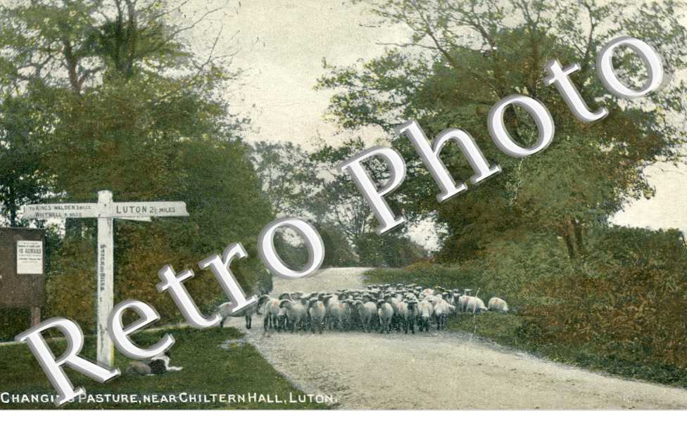 Changing Pasture near Chiltern Hall
