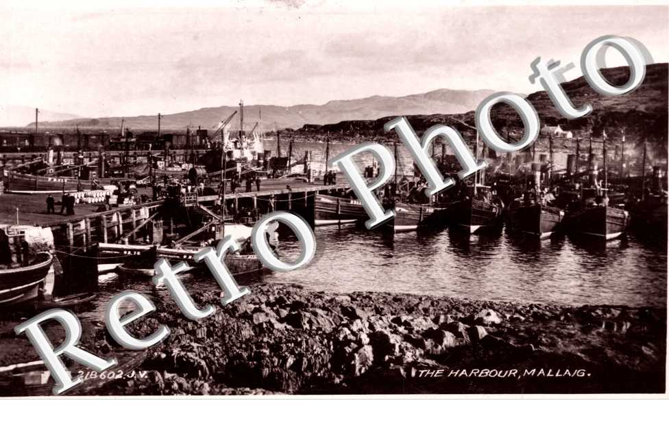 the Harbour
