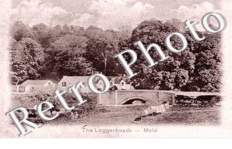 the Loggerheads