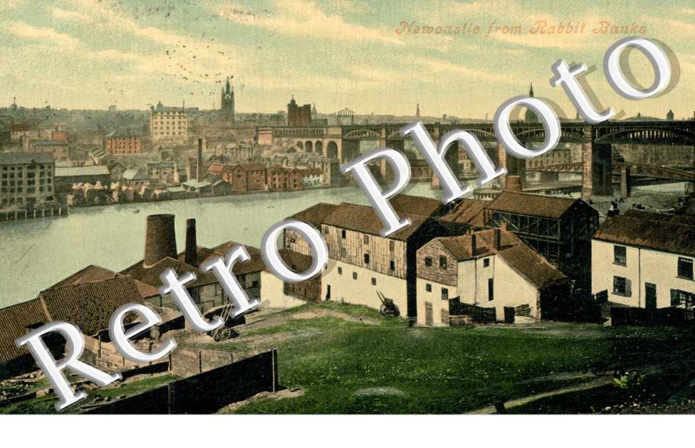 Newcastle from Rabbit Banks