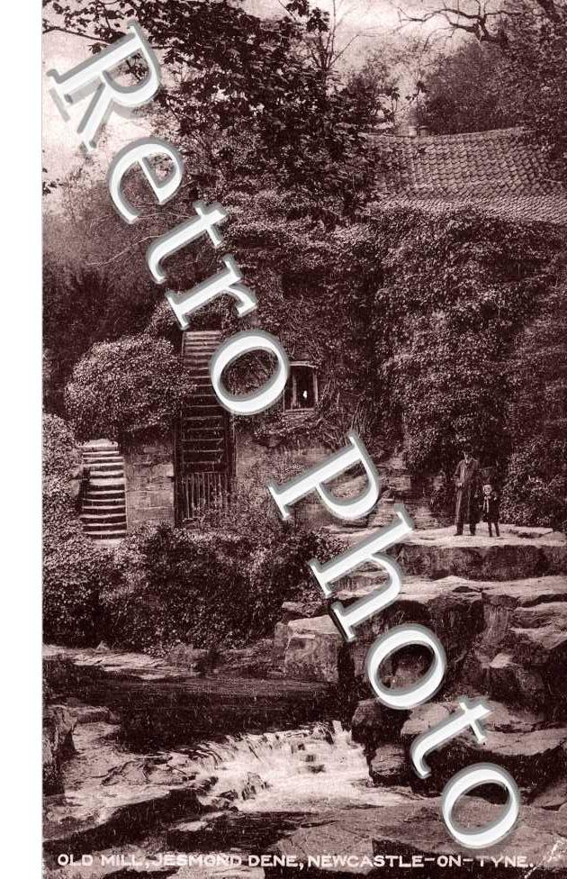 Old Mill, Jesmond Dene