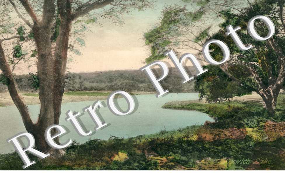 Oyshott Lake