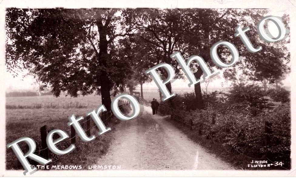 to the Meadows