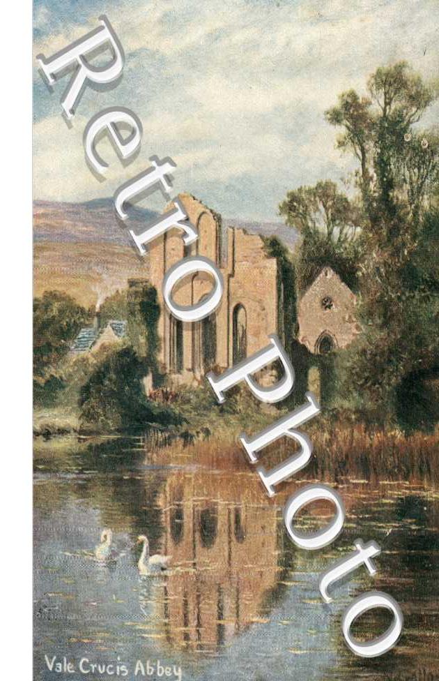 Vale Crucis Abbey