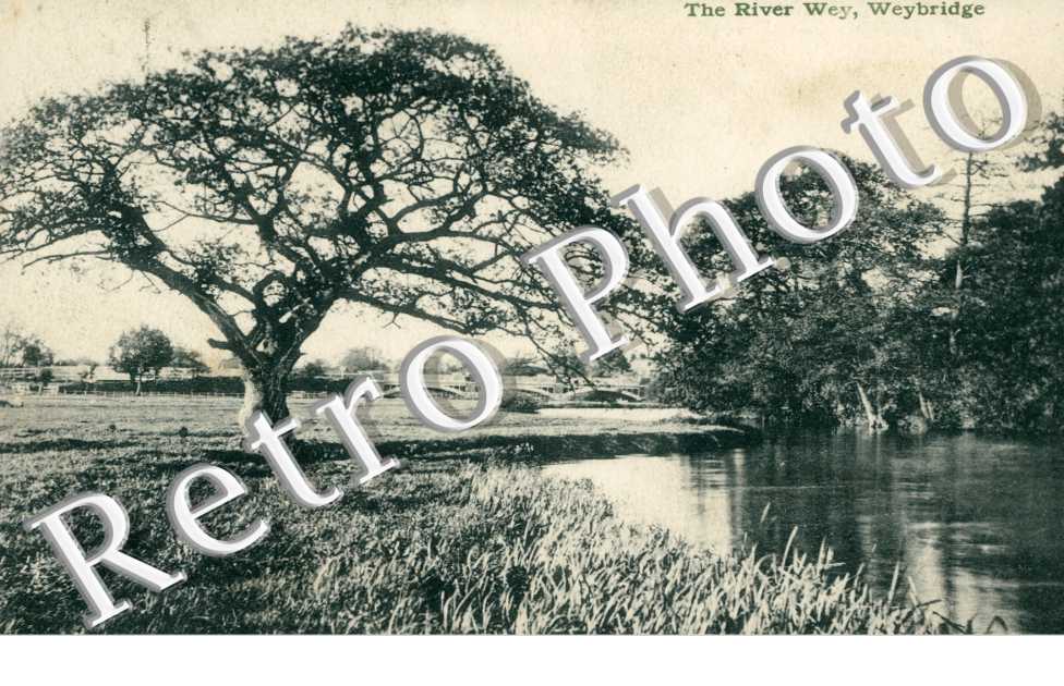 the River Wey