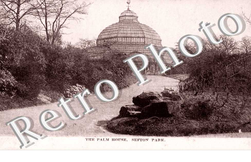 the Palm House, Sefton Park