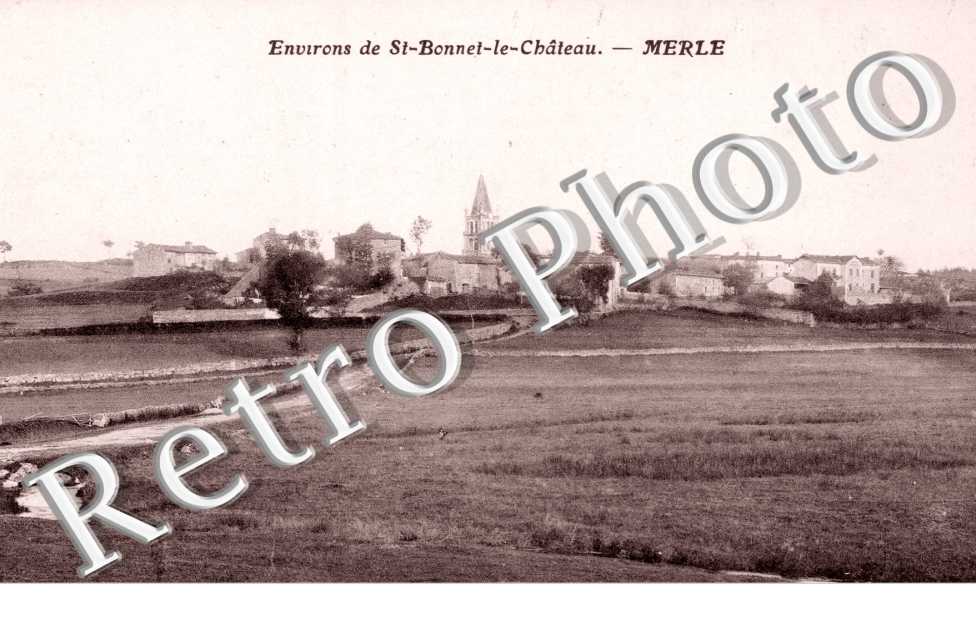 MERLE vue generale