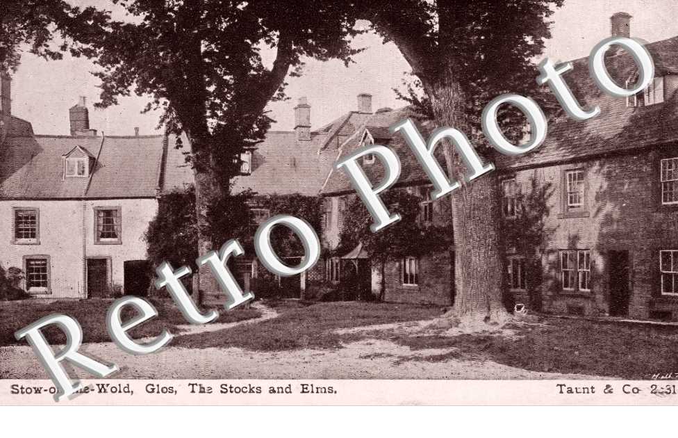 the Stocks and Elms