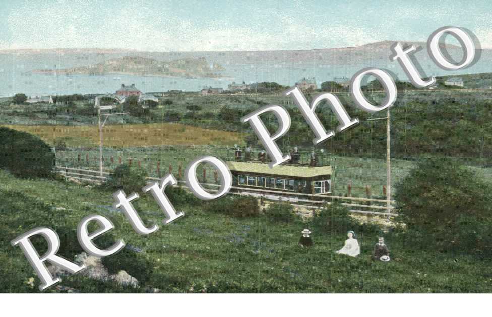 on Howth Hill