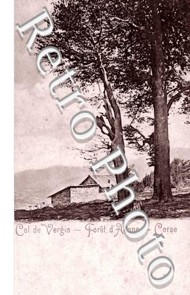 Col de Vergio  For d'Aone