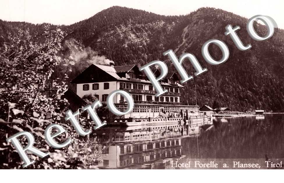 Hotel Forelle