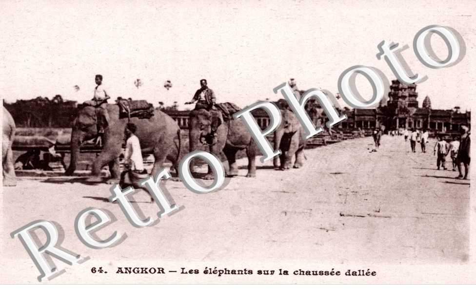 les Elephants sur la Chaussee dallee
