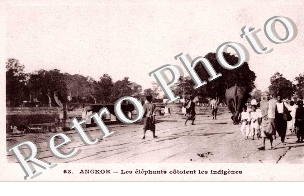 les Elephants cotoient les indigenes