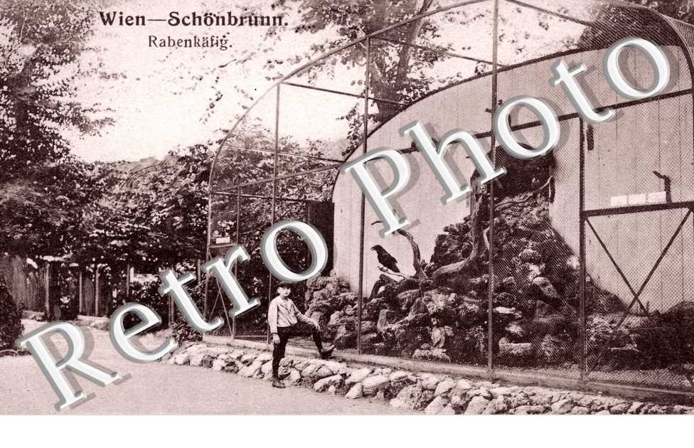 Rabenkafig