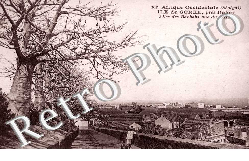 Allée des Baobabs