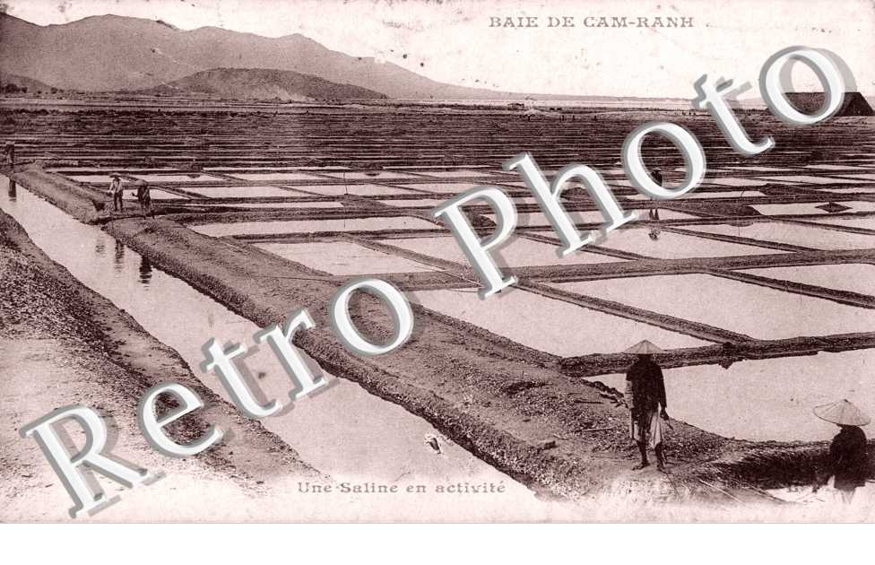 Une Saline en Activité