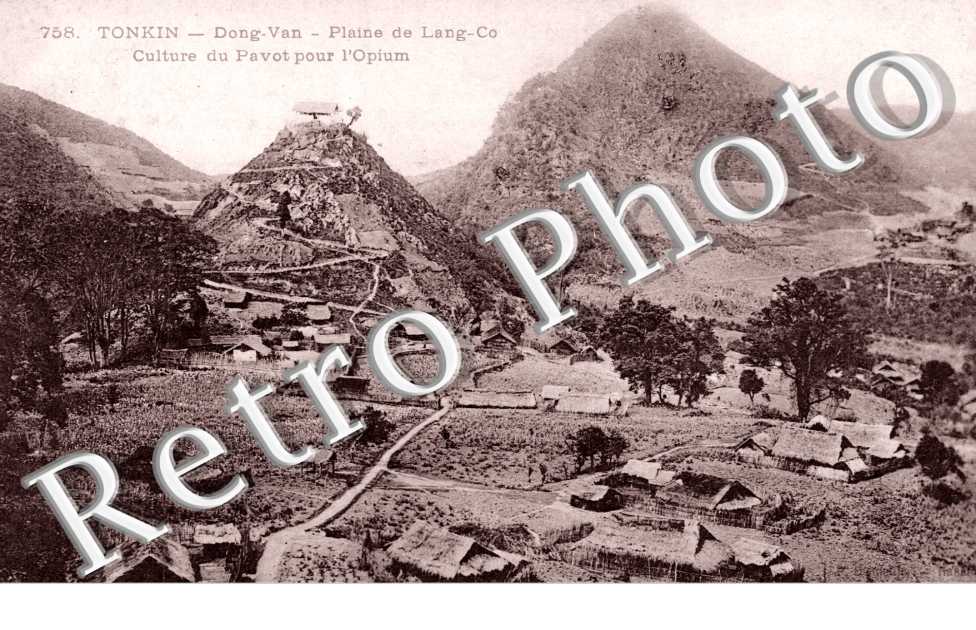 Plaine de Lang-Co, Culture du Pavot pour l'Opium