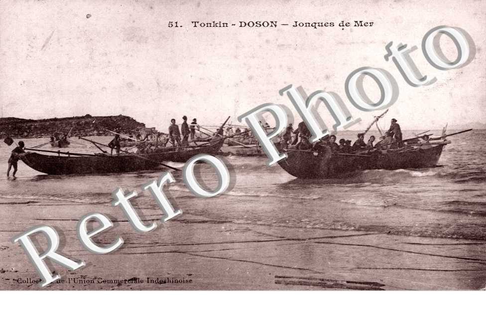 Jonques de Mer