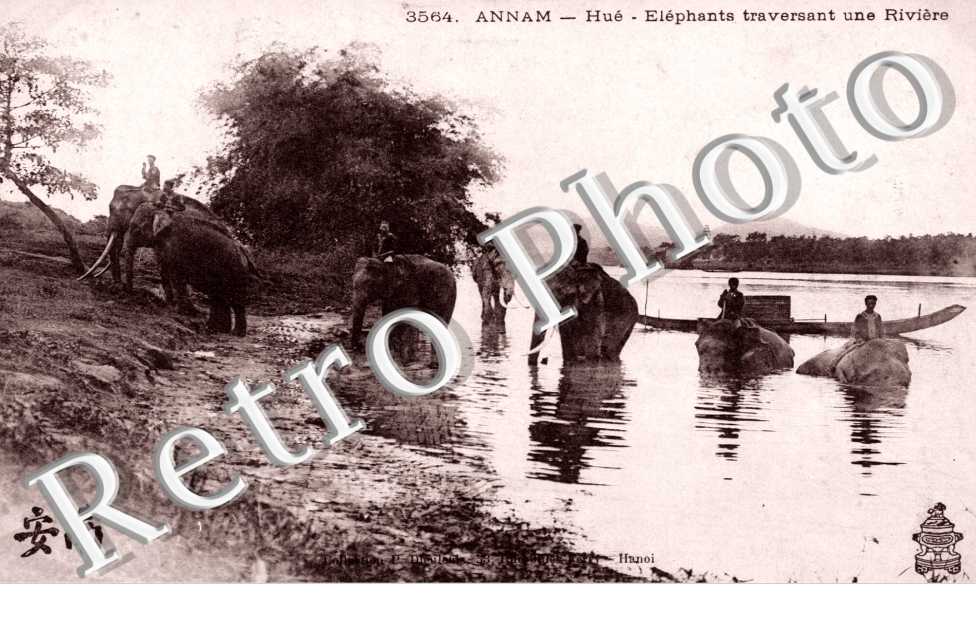 Annam, Elephants traversant une Riviere