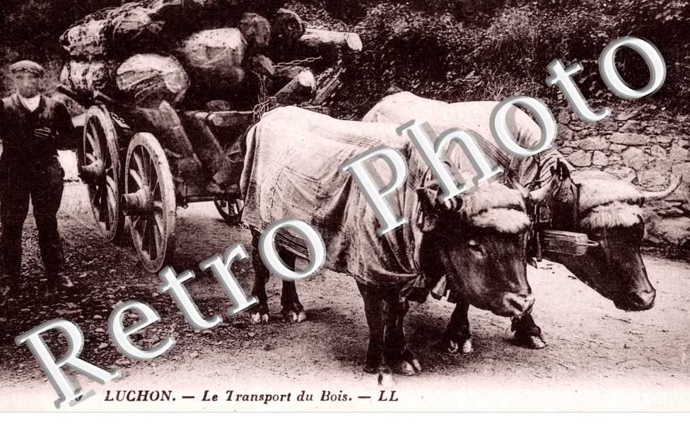 Transport du Bois