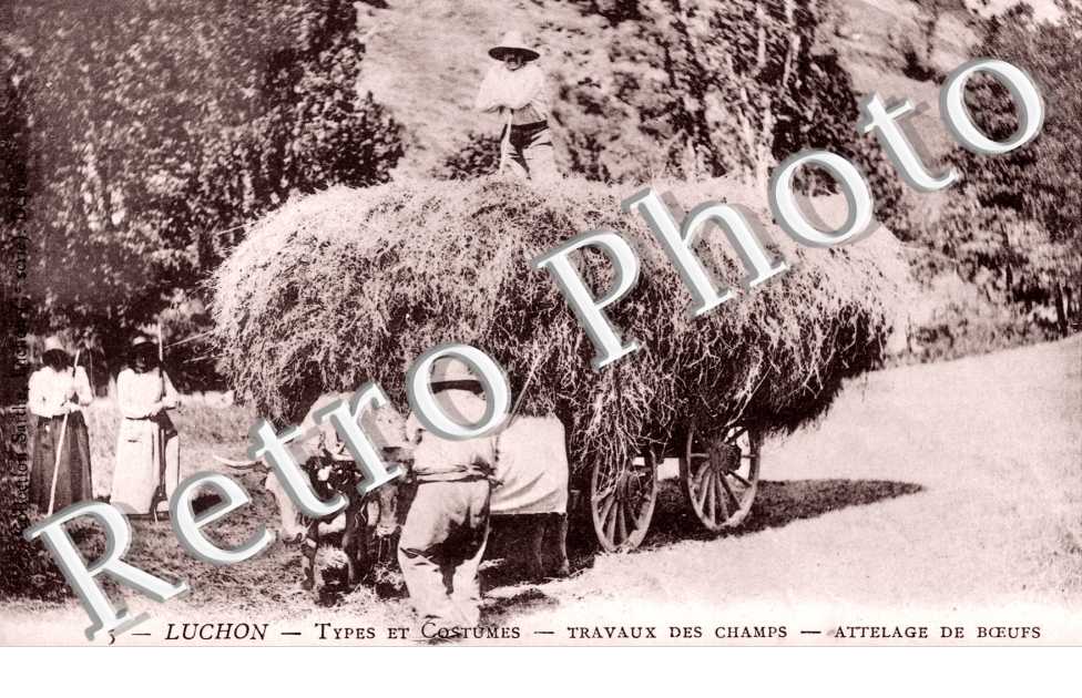 Travaux des Champs, Attelage des Boeufs