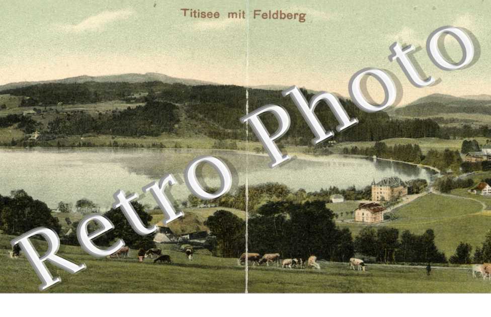 Titisee mit Felberg