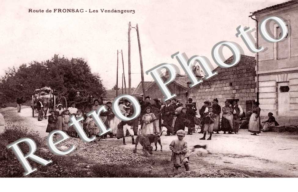 les Vendangeurs