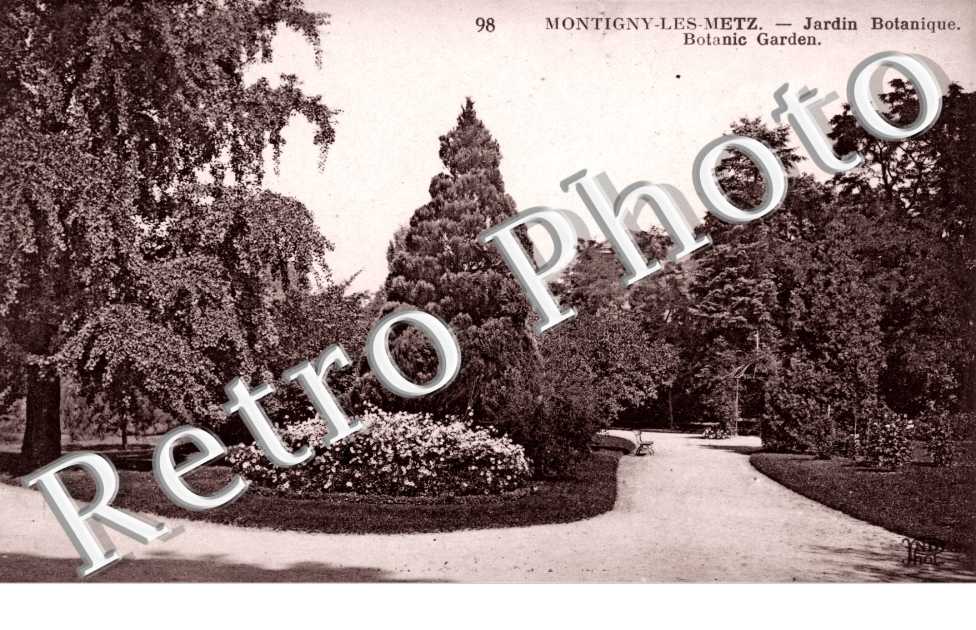 jardin botanique