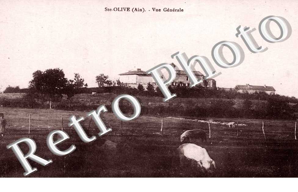 vue générale