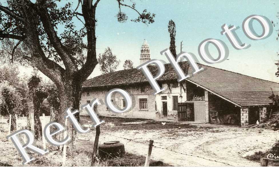 Ferme Bressane et chemin Sarrazine appartenant M De St-Sulpice