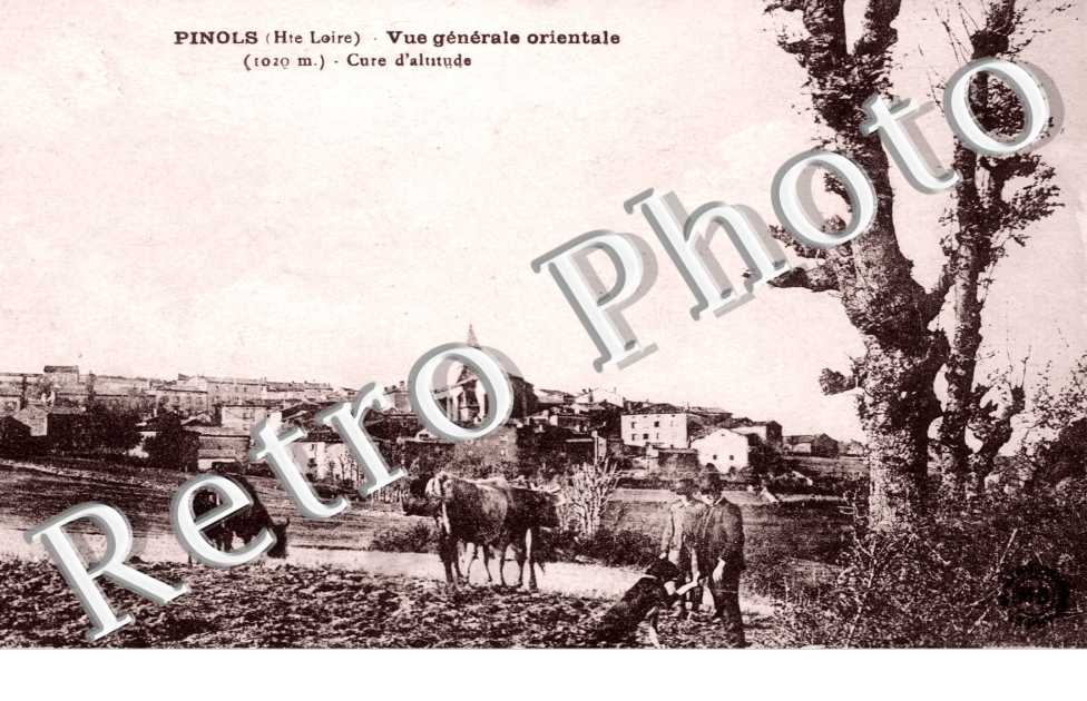Vue générale 