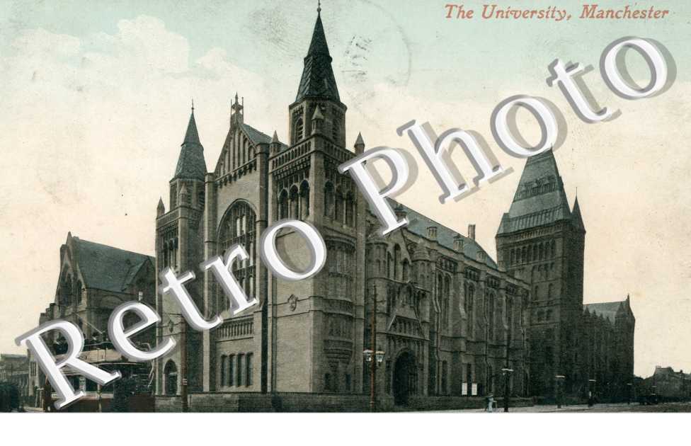 The university 