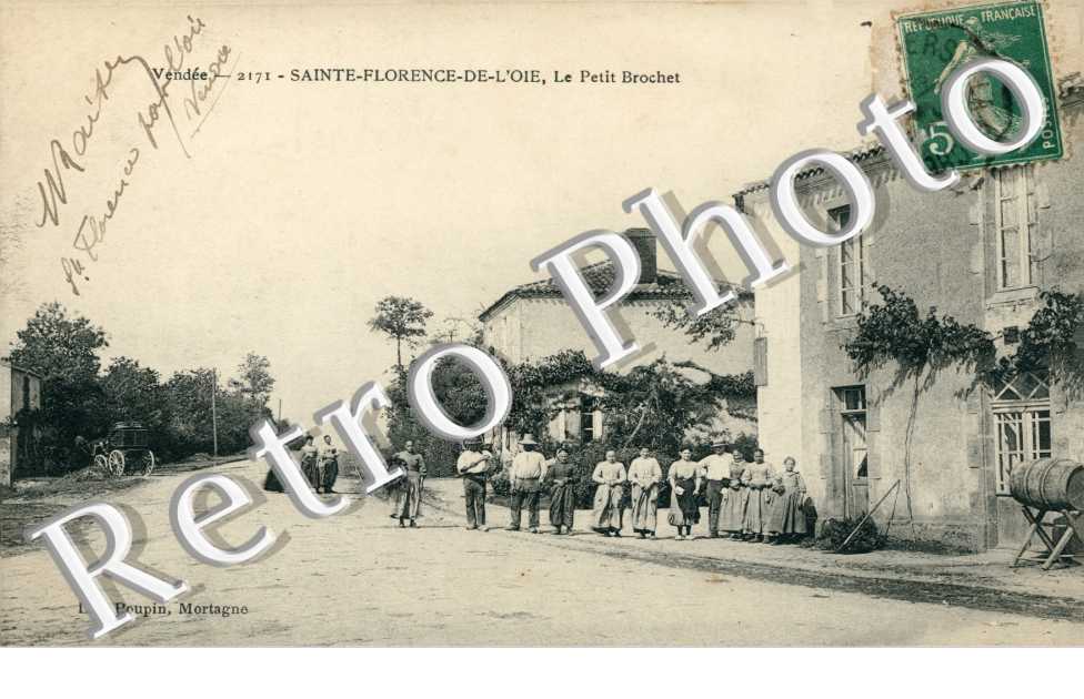 le petit Brochet