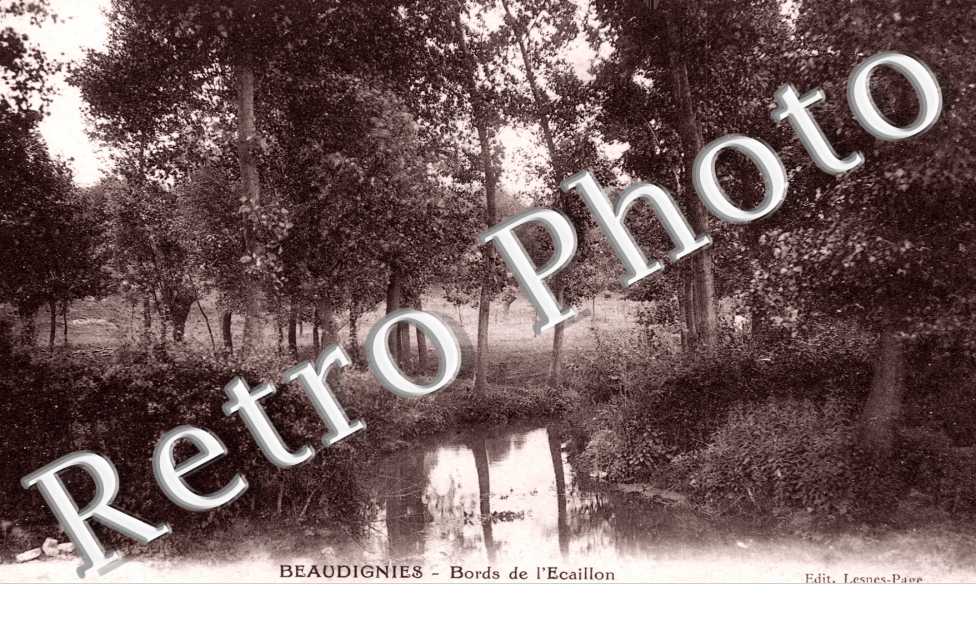 Bords de l'Ecaillon