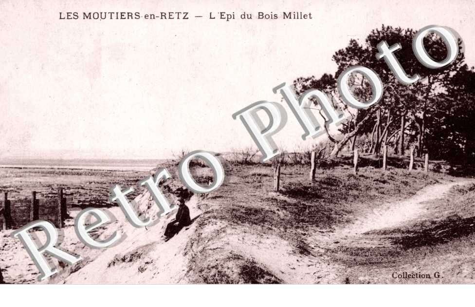 l'Epi du Bois Millet